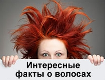 Цікаві факти про волосся